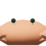 Shore crab